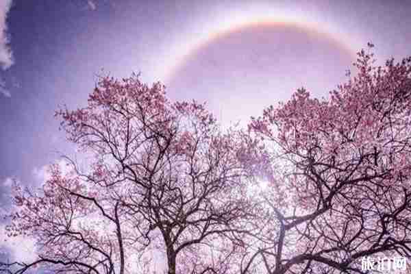 什么時候可以去西藏旅游和西藏旅游優惠政策2020