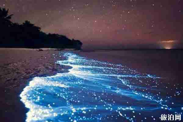 2020平潭藍眼淚時間和介紹