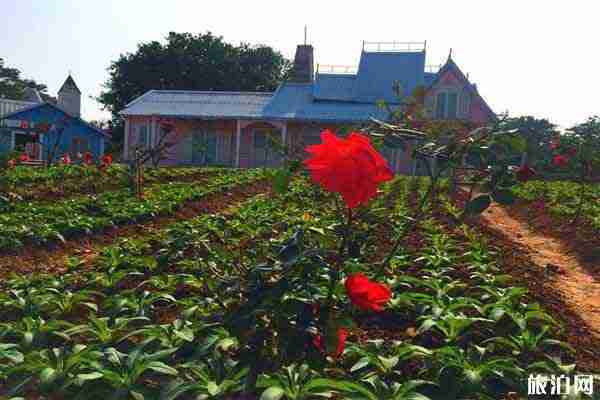 東莞夢幻百花洲地址 賞花時間