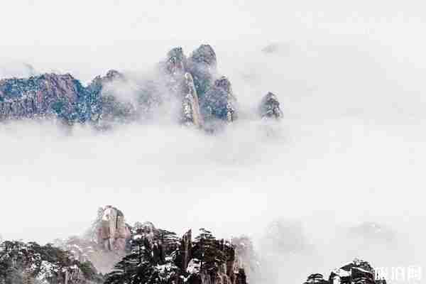 黃山北旅游客運中心什么時候恢復 附發車班次