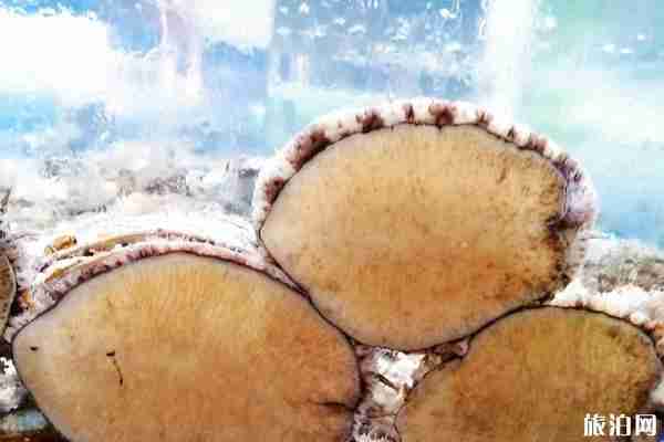 越南海鮮貴嗎和價(jià)格整理