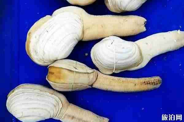 越南海鮮貴嗎和價(jià)格整理 越南海鮮貴嗎和價(jià)格整理