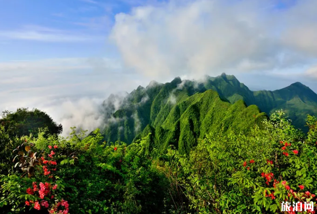 2020重慶恢復(fù)開放的景區(qū)及優(yōu)惠政策-預(yù)約信息