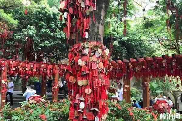 2020深圳鳳凰山森林公園開(kāi)放時(shí)間及入園須知 2020深圳鳳凰山森林公園開(kāi)放時(shí)間及入園須知