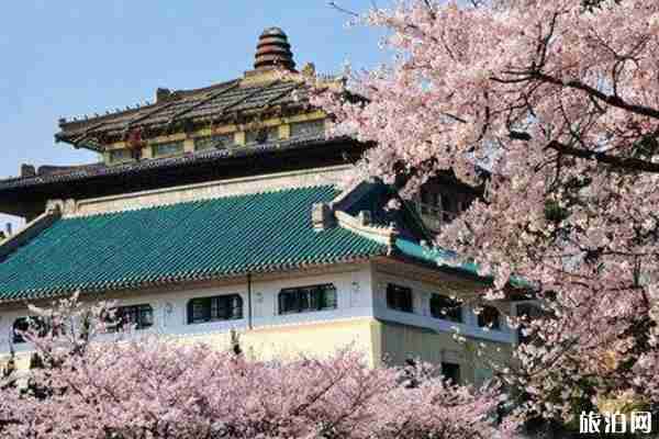 2020武大樱花云直播开始时间 附观赏指南