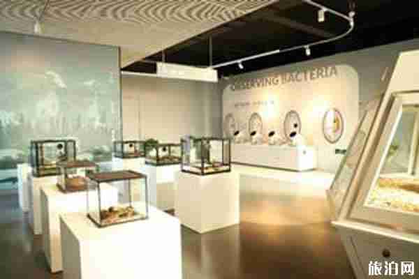 2020青岛景区恢复开放的有哪些 景区预约攻略