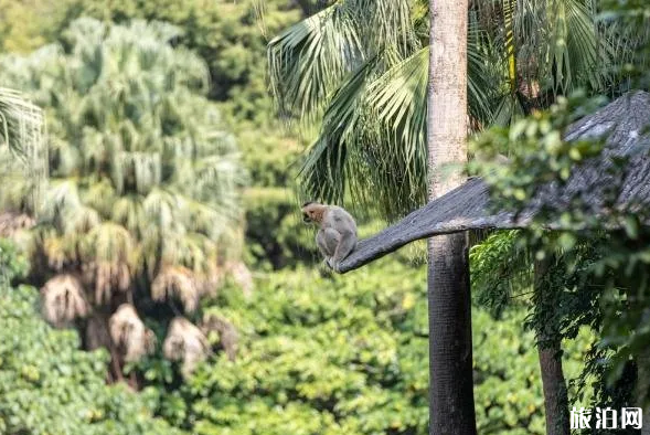 深圳欢乐谷恢复开放时间及预约信息 3月16日深圳开放景点 深圳欢乐谷恢复开放时间及预约信息 3月16日深圳开放景点