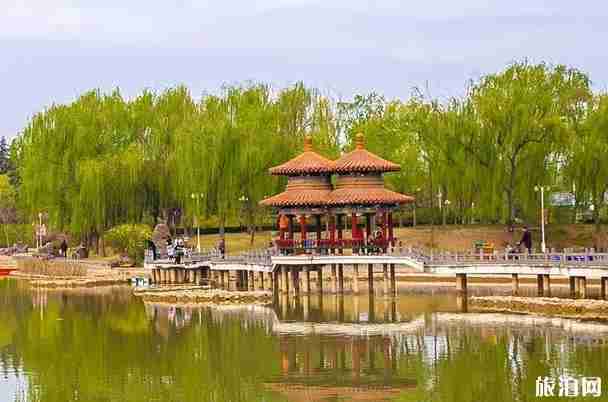 2020洛阳景区开放情况最新 洛阳景区哪个地方开放了 2020洛阳景区开放情况最新 洛阳景区哪个地方开放了