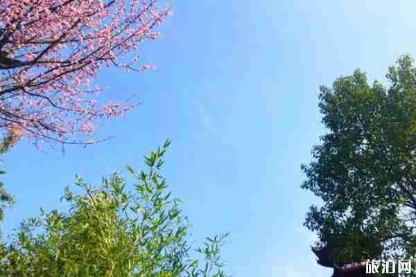 2020南阳七峰山景区恢复开放 附免票优惠政策和购票方法 2020南阳七峰山景区恢复开放 附免票优惠政策和购票方法