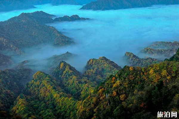 2020成都周边恢复开放景点及开园时间