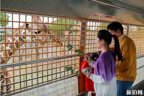 上海景点年卡2020办理攻略 上海景点年卡2020办理攻略