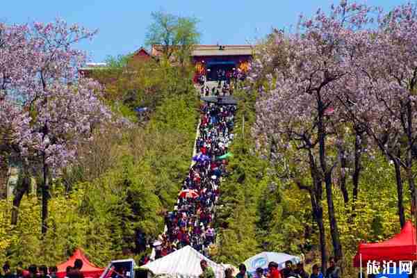 2020芒砀山景区开放时间和门票优惠政策