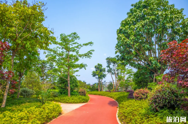 天津水西公园现在开放吗2020 天津新开放公园 天津水西公园现在开放吗2020 天津新开放公园