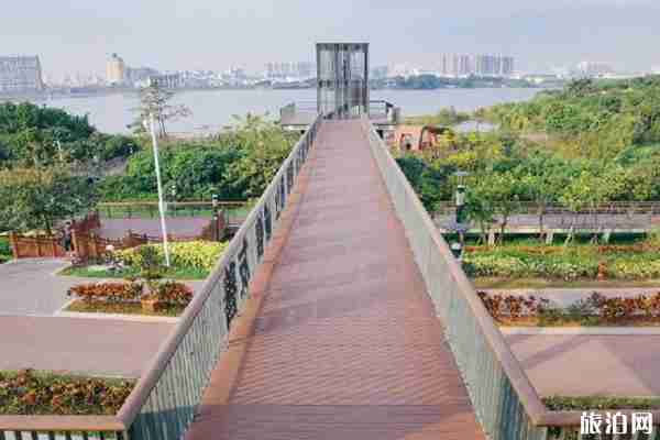 五月深圳賞花景點介紹