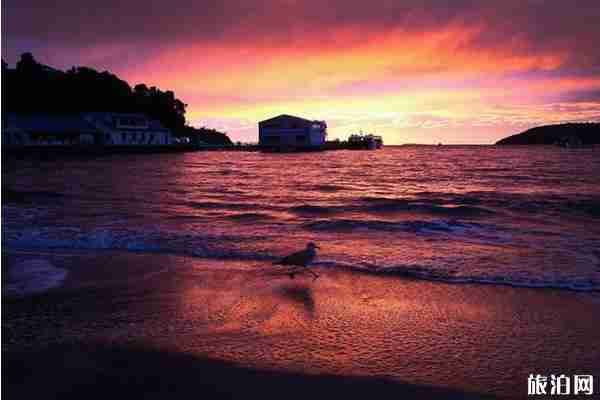 新西兰极光在几月看 在哪里可以看到