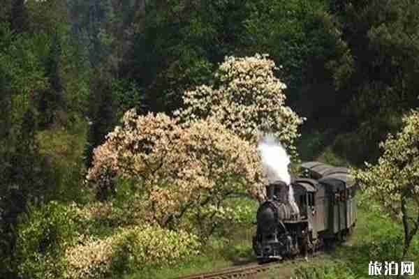 2020嘉阳小火车开放时间和门票优惠政策