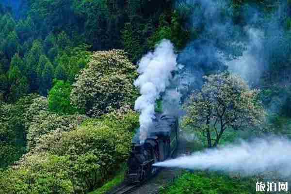 2020嘉阳小火车开放时间和门票优惠政策