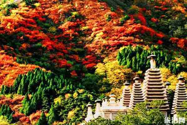 北京香山公园登山线路图 北京香山公园登山线路图