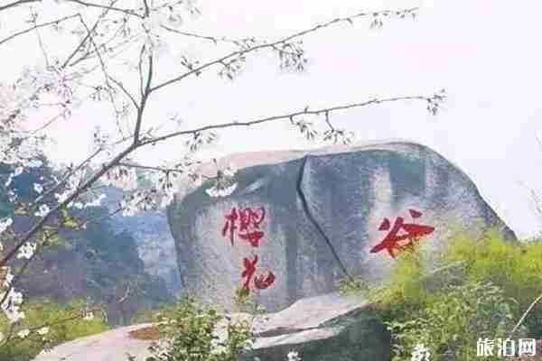 南昌樱花哪里有 南昌哪里看樱花