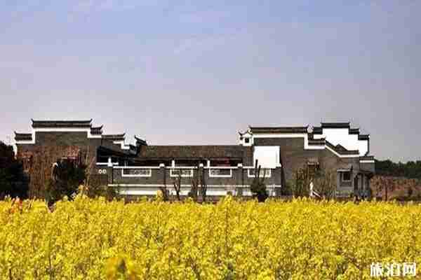南昌油菜花哪里看