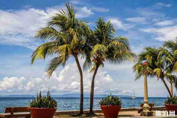 2020国内入境旅游什么时候恢复