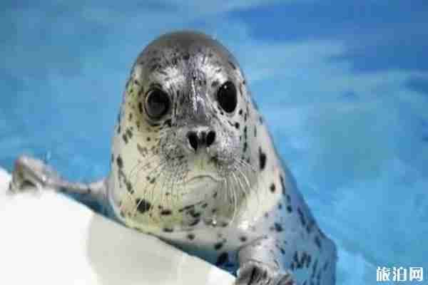 2020哈尔滨极地馆恢复开放时间