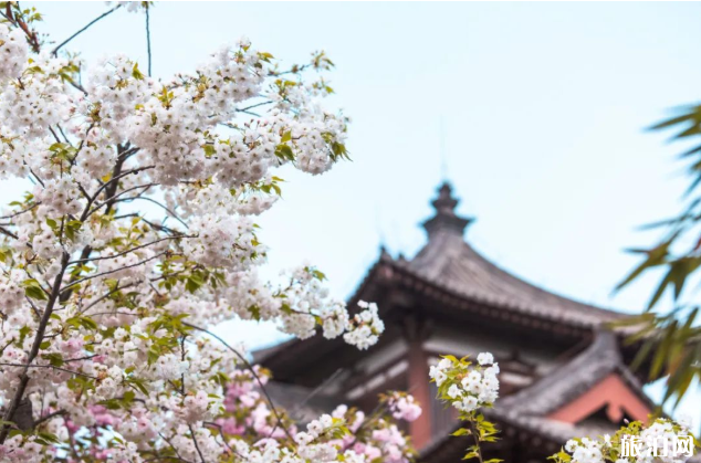 全国哪些景点恢复 2020全国各地景区开放情况 全国哪些景点恢复 2020全国各地景区开放情况