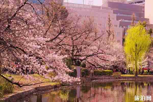 十万日元去日本够花吗和旅游路线推荐 十万日元去日本够花吗和旅游路线推荐