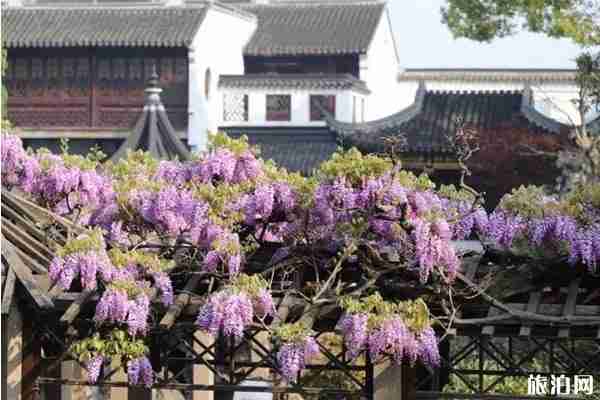 2020苏州景点开放时间和名单