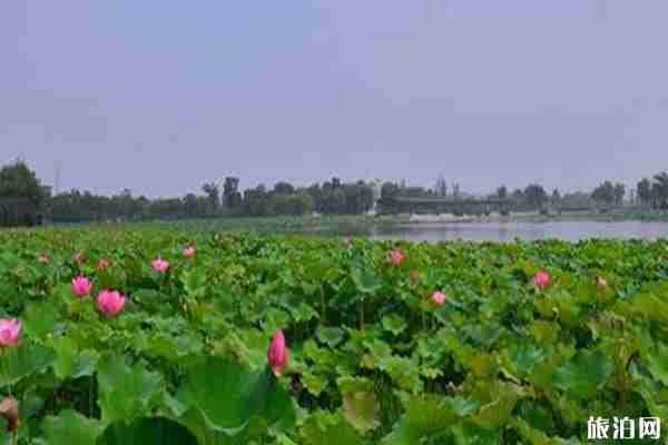 阳澄湖半岛骑行路线和沿线景点介绍