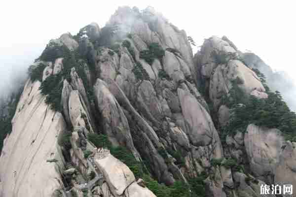 黃山蓮花峰開放時間2020