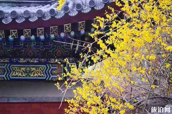 2020北京香山公園開了嗎 北京景區開放時間2020 2020北京香山公園開了嗎 北京景區開放時間2020