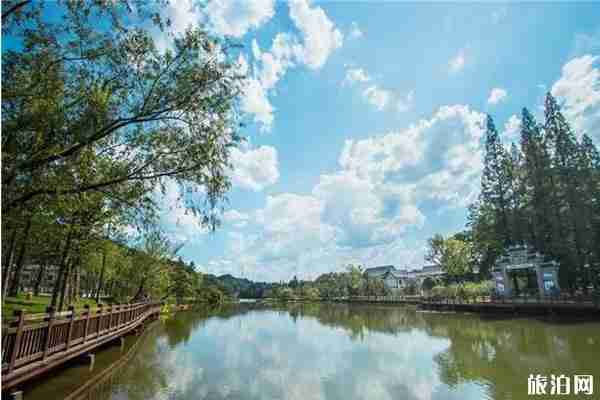 2020常德桃花源門票優惠政策