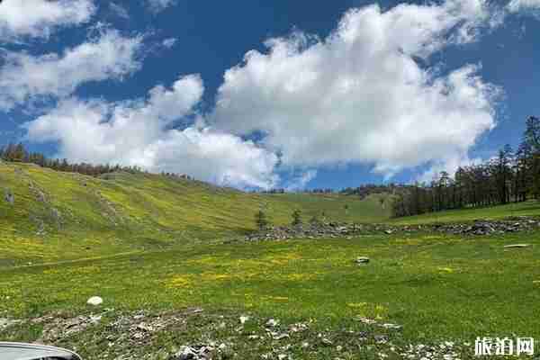 伊犁花海最美是幾月 新疆旅游最佳季節-交通指南