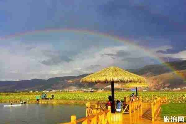 2020云南曲靖哪些景區可以免費游玩