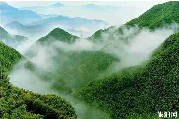 2020四川達(dá)州清明節(jié)免費(fèi)景點(diǎn)和優(yōu)惠政策