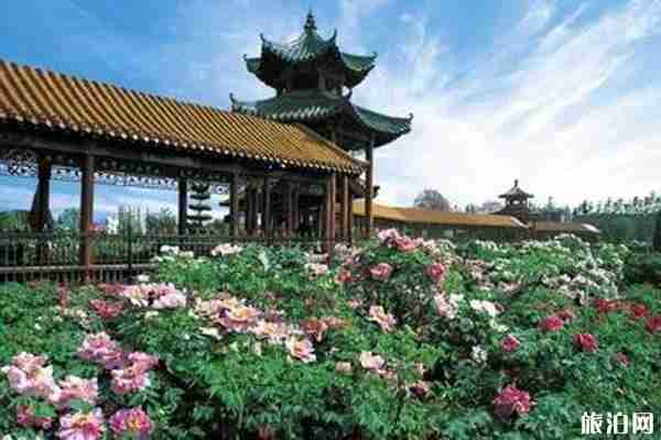 2020菏泽牡丹节交通管制-交通攻略