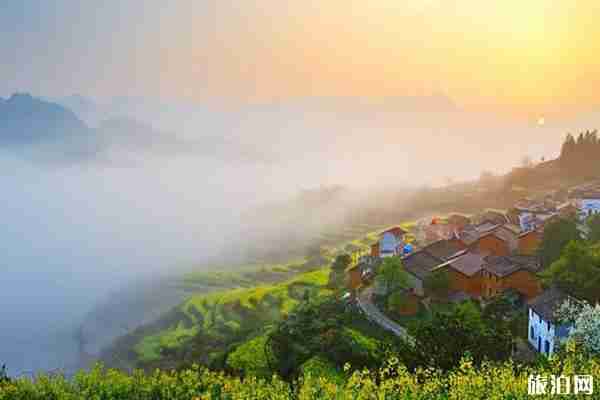 浙江油菜花最美的地方 浙江油菜花景点介绍 浙江油菜花最美的地方 浙江油菜花景点介绍
