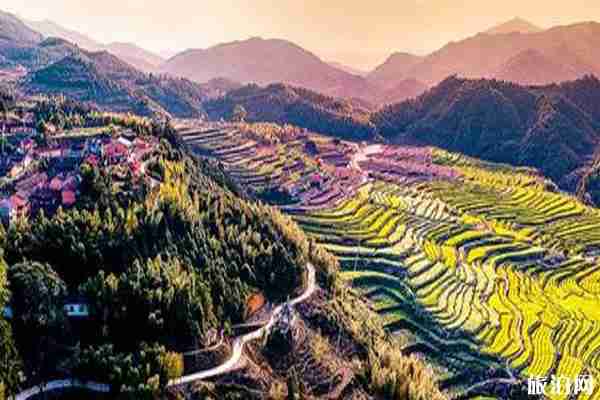浙江油菜花最美的地方 浙江油菜花景点介绍 浙江油菜花最美的地方 浙江油菜花景点介绍