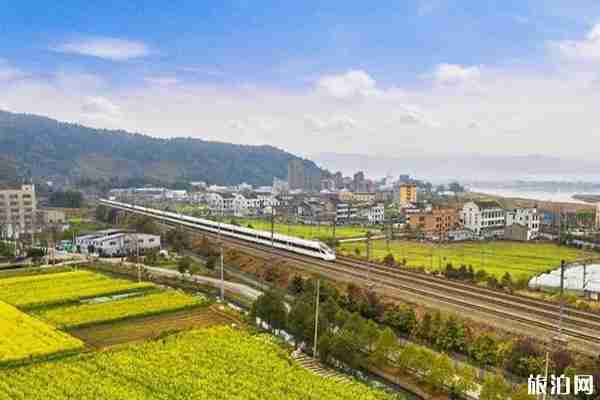 浙江油菜花最美的地方 浙江油菜花景点介绍 浙江油菜花最美的地方 浙江油菜花景点介绍