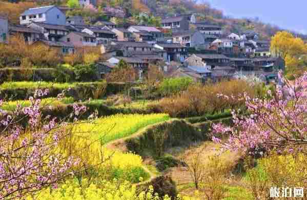 浙江油菜花最美的地方 浙江油菜花景点介绍 浙江油菜花最美的地方 浙江油菜花景点介绍
