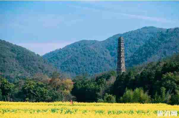 浙江油菜花最美的地方 浙江油菜花景点介绍 浙江油菜花最美的地方 浙江油菜花景点介绍