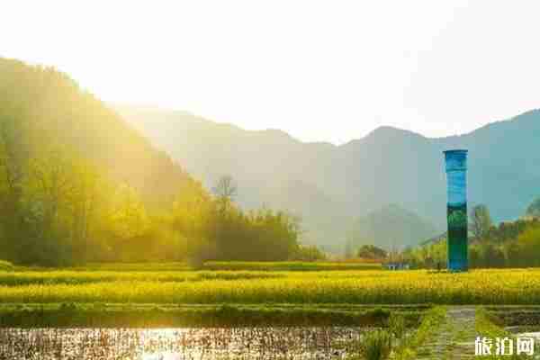 浙江油菜花最美的地方 浙江油菜花景点介绍 浙江油菜花最美的地方 浙江油菜花景点介绍