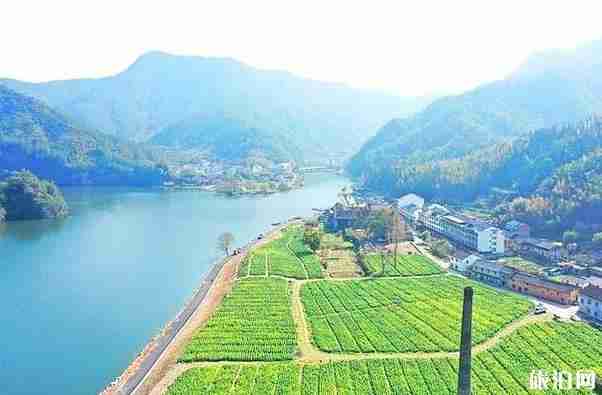 浙江油菜花最美的地方 浙江油菜花景点介绍 浙江油菜花最美的地方 浙江油菜花景点介绍