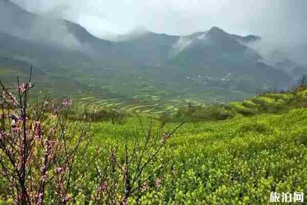 春季覆卮山景区游玩攻略 春季覆卮山景区游玩攻略
