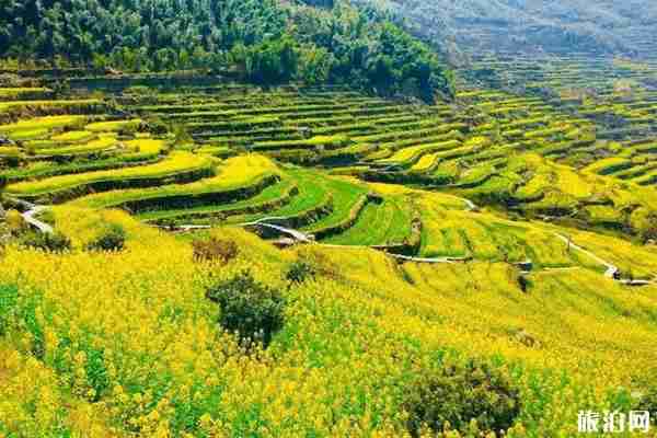 春季覆卮山景区游玩攻略 春季覆卮山景区游玩攻略