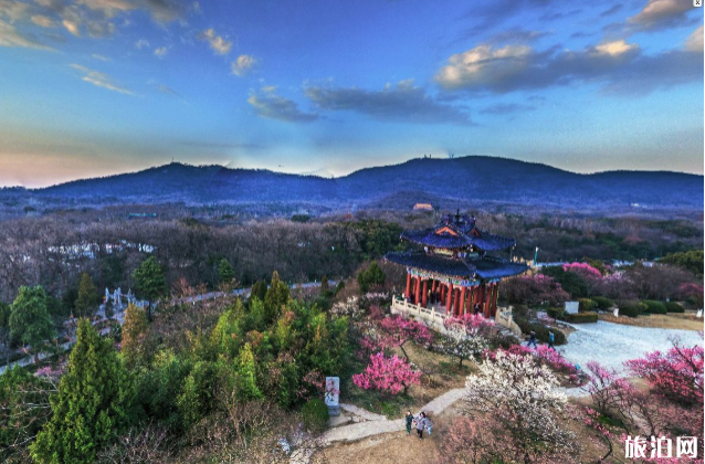 2020南京玄武湖樱花直播时间及地点 2020南京玄武湖樱花直播时间及地点