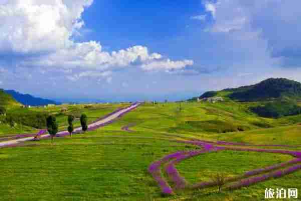 2020六盘水旅游优惠政策-消费券发放