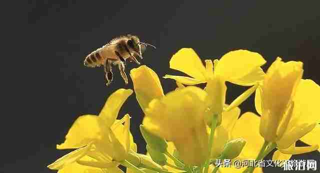 2020七步沟景区开放时间-门票优惠价格-区域范围 2020七步沟景区开放时间-门票优惠价格-区域范围