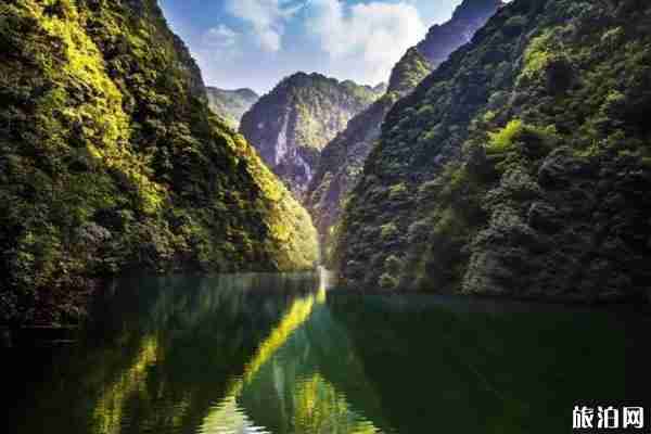 2020重庆免票景区有哪些